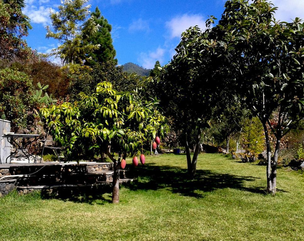 Feriendomizil Finca Tijarafe Mit Beheiztem, Abdeckbarem Pool Szoba fotó